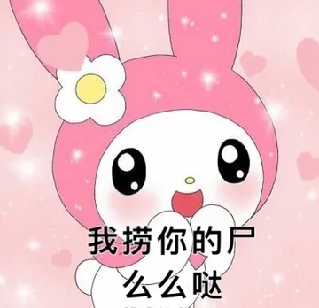 我捞你的户么么哒（孙一宁王思聪聊天表情包）