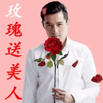 玫瑰送美人（老年人表情包）