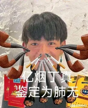 求一眼贴吧丁真表情包?