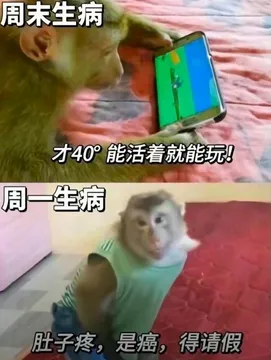 吗喽打工表情包