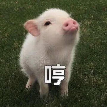 哼(小猪)