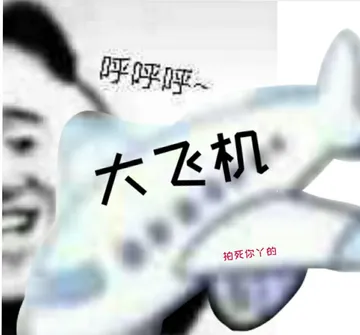 呼呼呼大飞机拍死你丫的