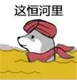 这恒河里