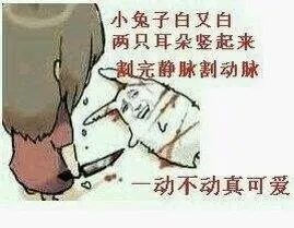 小兔子白又白，两只耳朵竖起来，割完静脉割动脉。一动不动真可爱