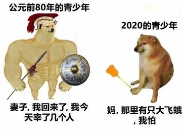 公元前80年的青少年2020的青少年妻子,我回来了,我今妈,那里有只大飞蛾天宰了几个人我怕