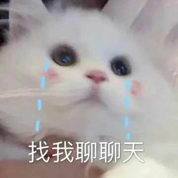 找我聊聊天