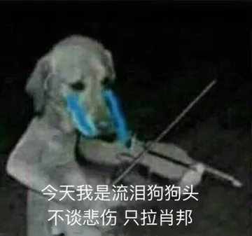 狗子拉小提琴：今天我是流泪狗狗头 不谈悲伤，只拉肖邦