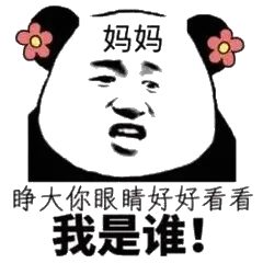 妈妈睁大你眼睛，好好看看我是谁!