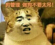 狗管理做狗不要太吊！