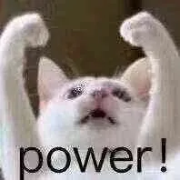 猫：power