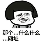 那个什么什么网址