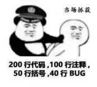 场抓获200行代码.100行注释50行括号40行BUG
