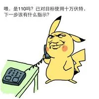 喂，是110吗？已对目标使用十万伏特，下一步该有什么指示？
