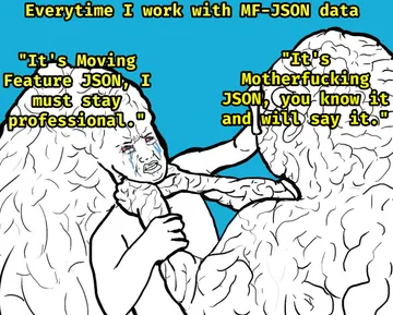 The Two Faces Of JSON Development