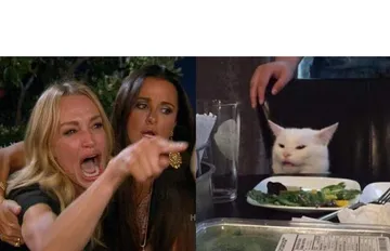Woman Yelling at Cat memes