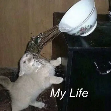 my life
