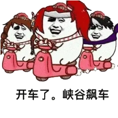 开车了.峡谷飙车