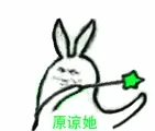 绿帽魔法原谅她