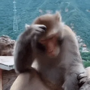 吗喽表情包