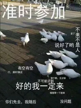 满嘴鸽话