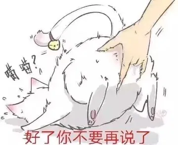 好了你不要再说了