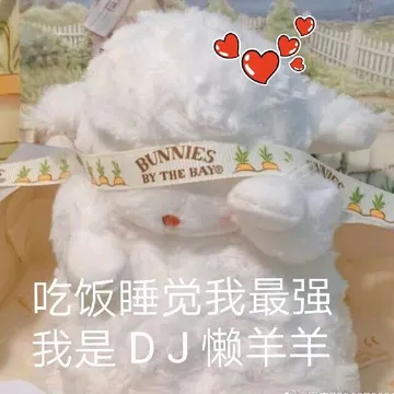 吃饭睡觉我最强.我是DJ懒羊羊