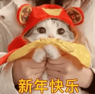 新年快乐