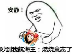 安静！吵到我航海王：燃烧意志了