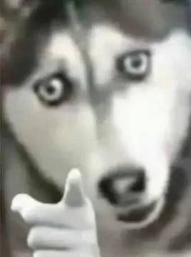 狗子指