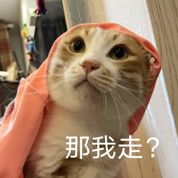 那我走?