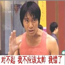 对不起.我不应该太帅了.我错了(周星驰)