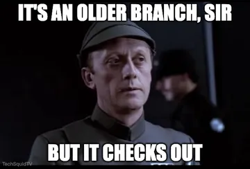 When You Have To Checkout The Master Branch