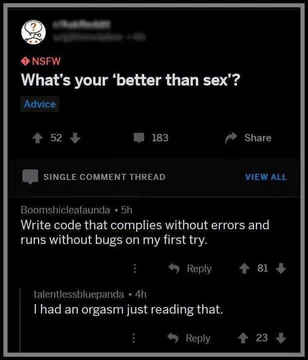 The Ultimate Developer Fantasy