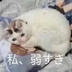 无名哈基米