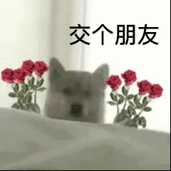 交个朋友
