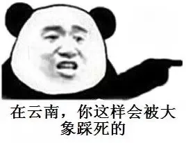 在云南，你这样会被大象踩死的