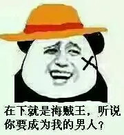 在下就是海贼王.听说你要成为我的男人!(金馆长)