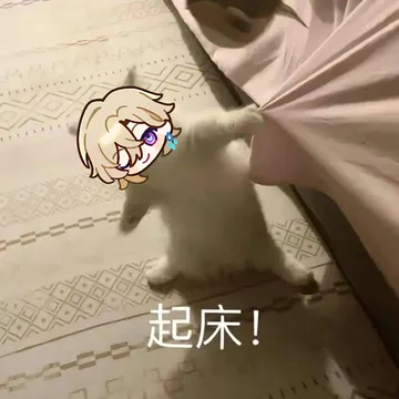 砂金表情包
