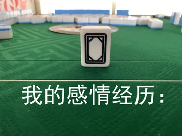 我的感情经历空白（麻将表情包）