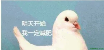 鸽友会