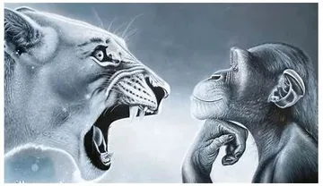 Thinking Monkey and Rage Baited Lion