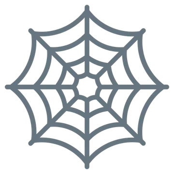 Spider web