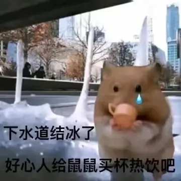 下水道结冰了好心人给鼠鼠买杯热饮吧