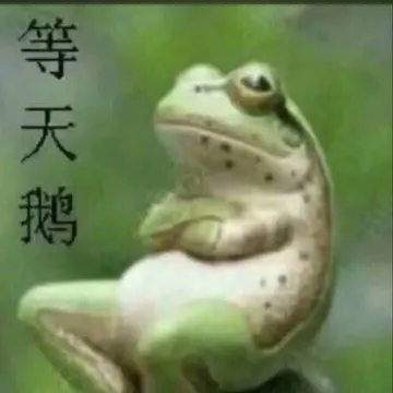 等天鹅(青蛙)