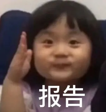 报告
