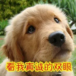看我真诚的双眼