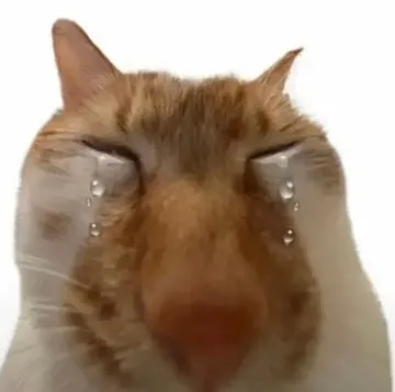 流泪猫咪