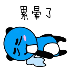 飞行熊日常生活一