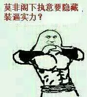 莫非阁下执意要隐藏装逼实力
