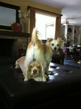 Phoebe Dominates